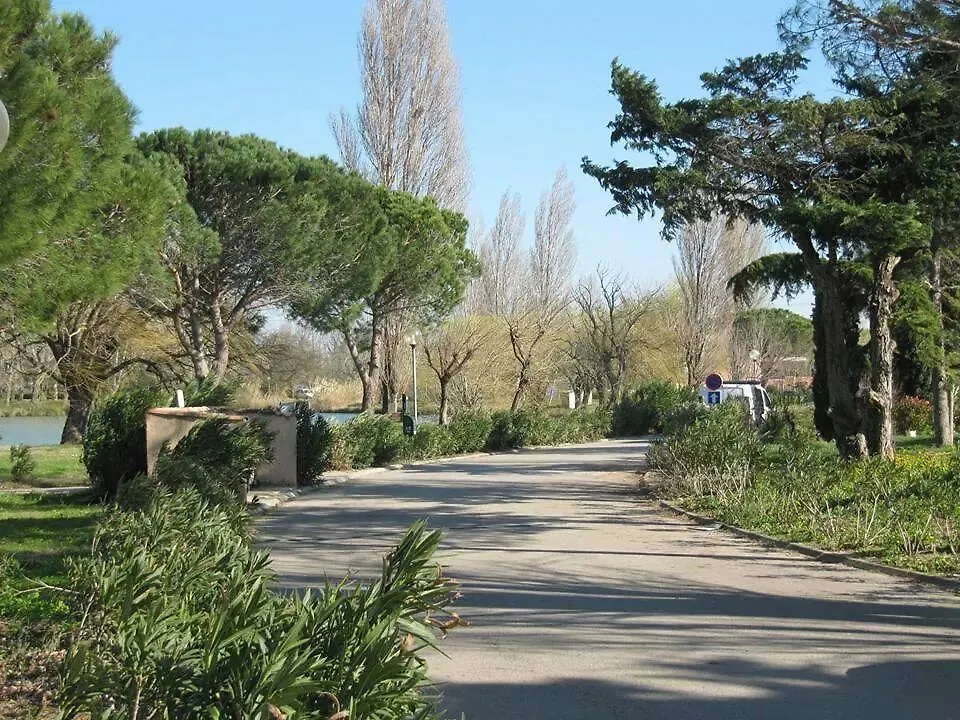 Les Amandiers N°808 Arles France